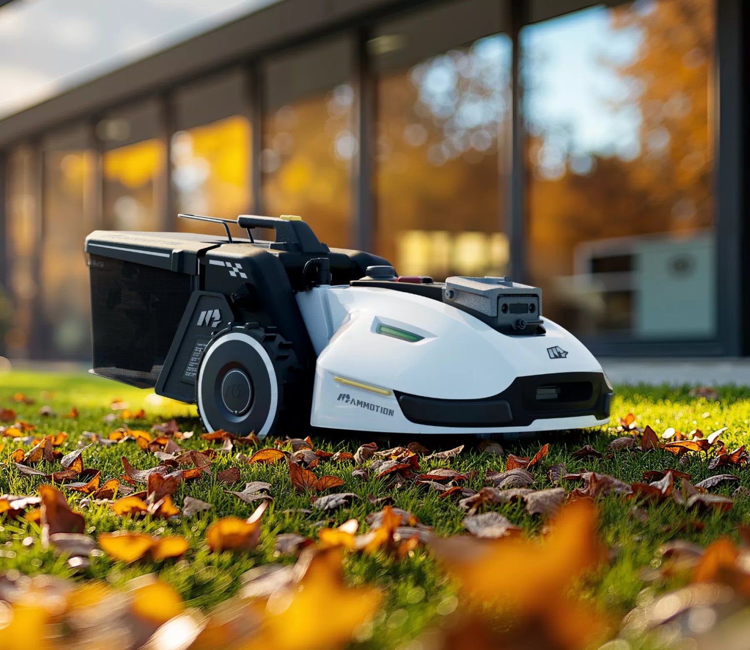 Entretien du gazon en automne : le guide complet (France — Dernière édition)