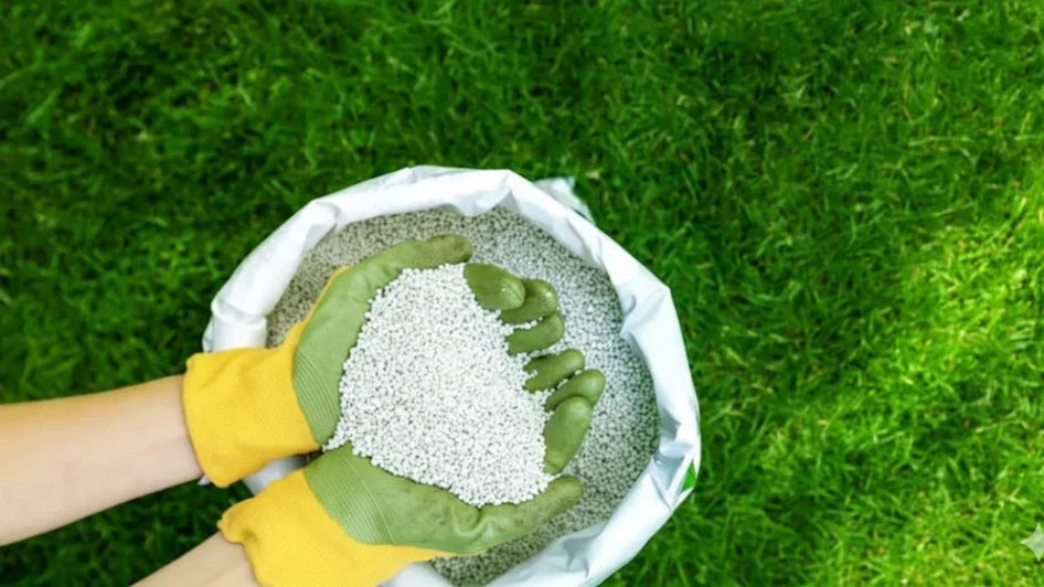 fertiliser son gazon