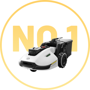 2024