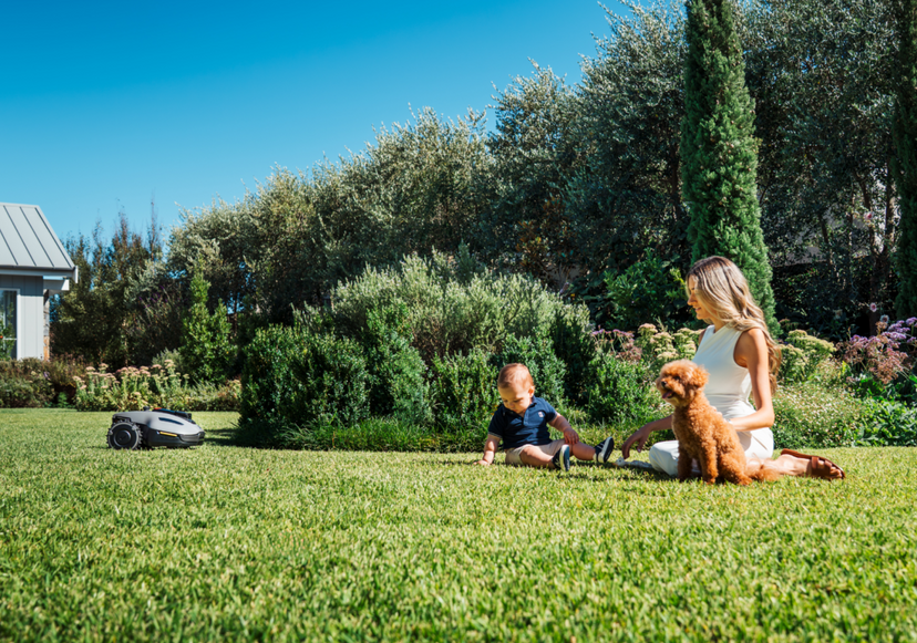 Mammotion YUKA mini tondeuse écologique