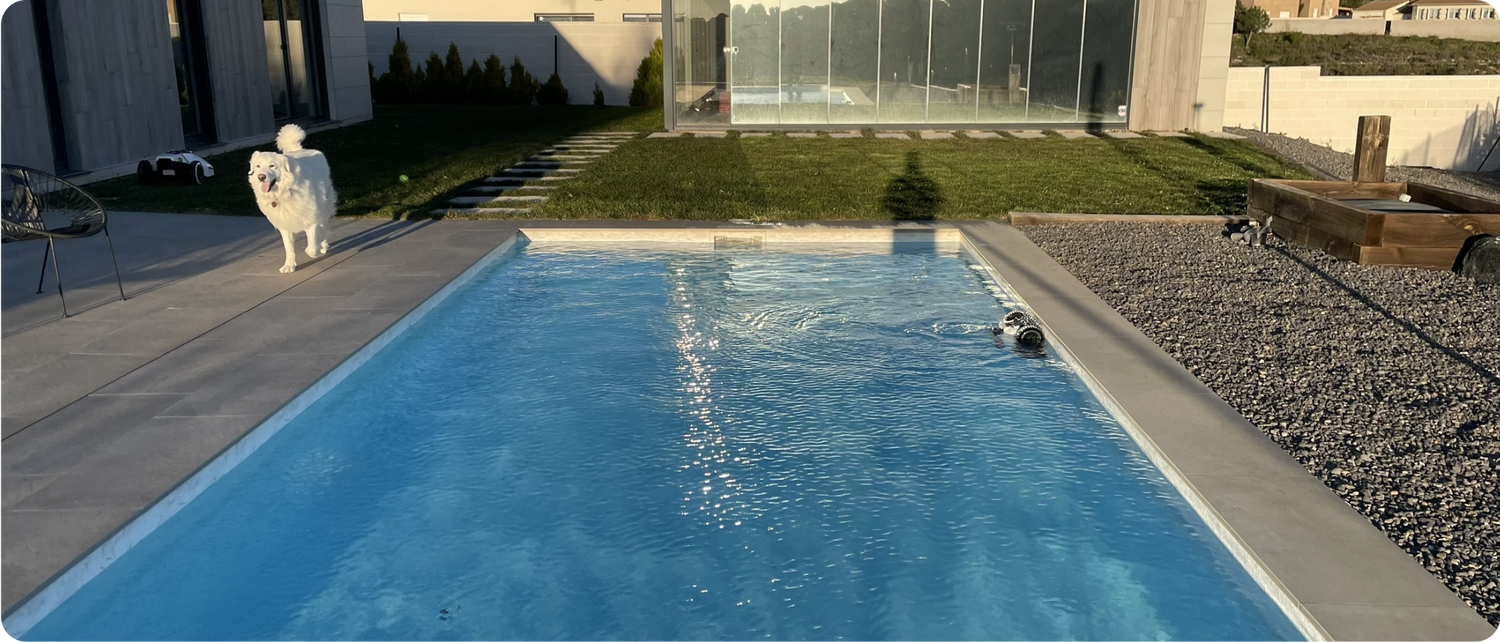 Automne : comment garder une piscine propre et saine – conseils pratiques