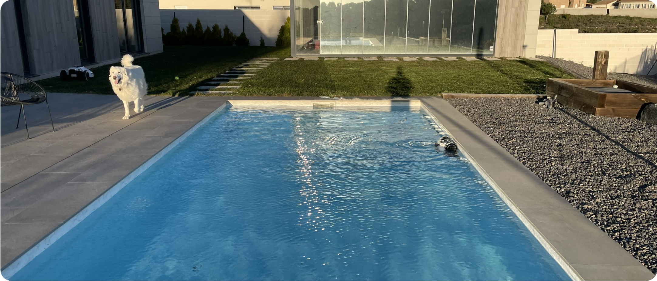 Automne : comment garder une piscine propre et saine – conseils pratiques