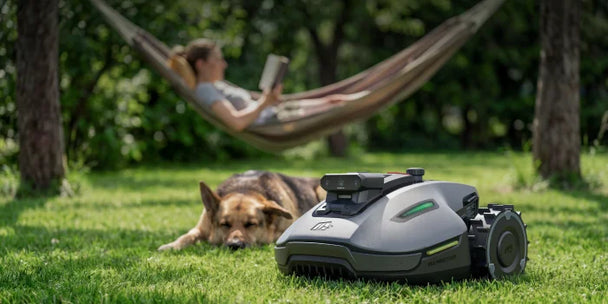 Mammotion robot tondeuse