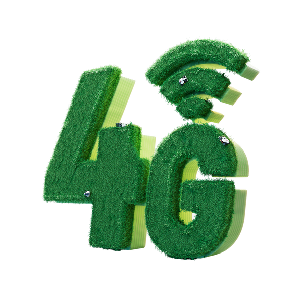 Service 4G MAMMOTION
