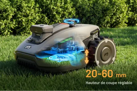 Hauteur de coupe réglable de 20 à 60 mm