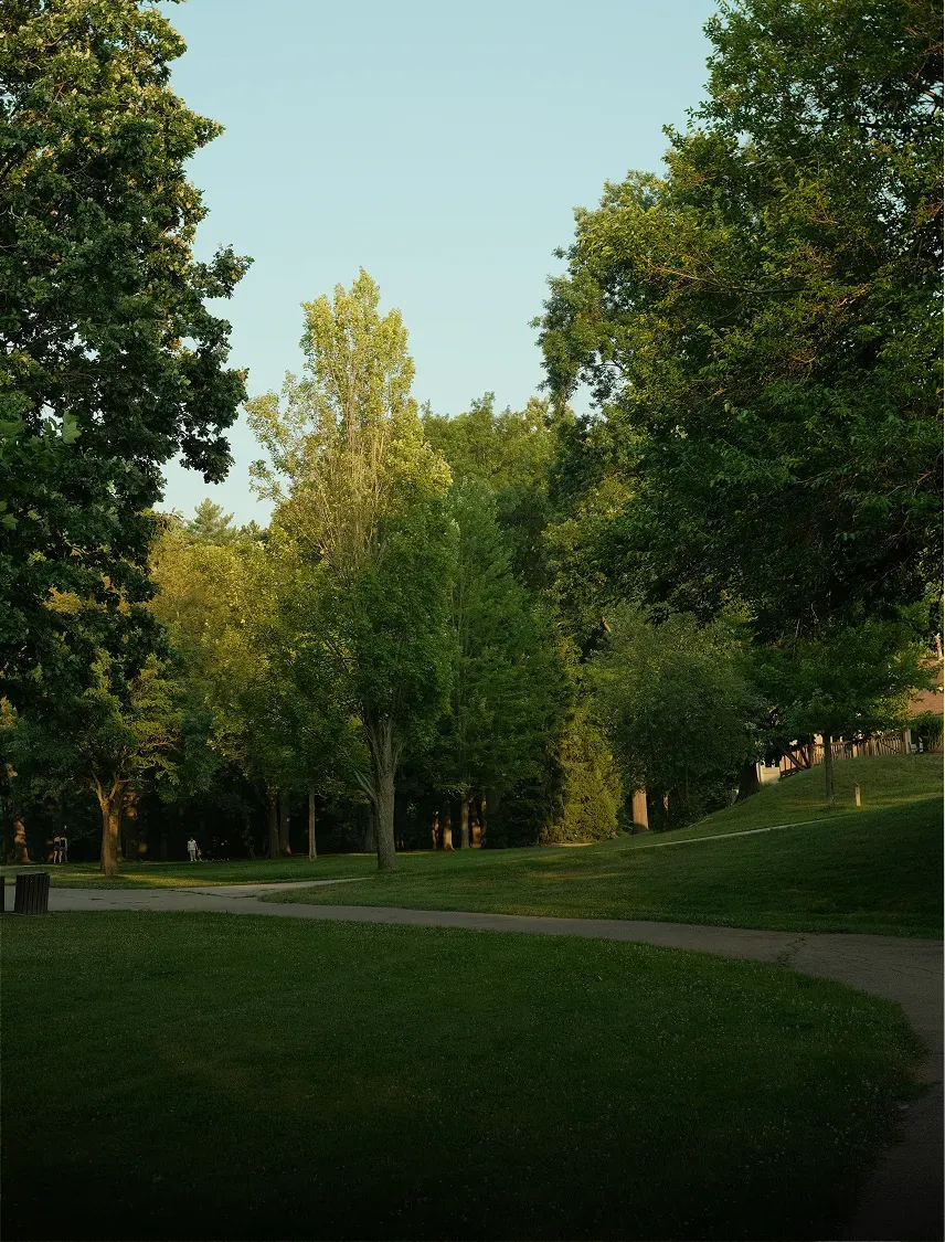 Pelouse d’un parc public