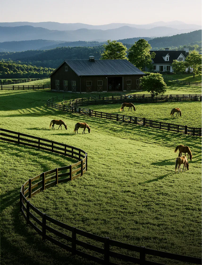 Pâturage d’un haras