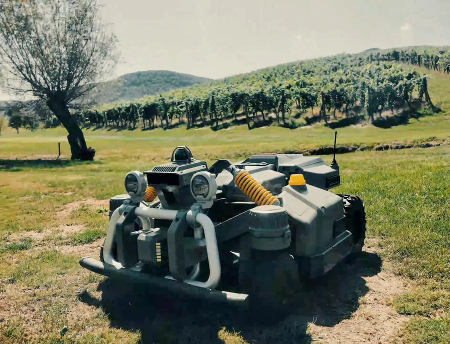Maston sur un green du Golf Zlati Grič avec des vignobles en arrière-plan