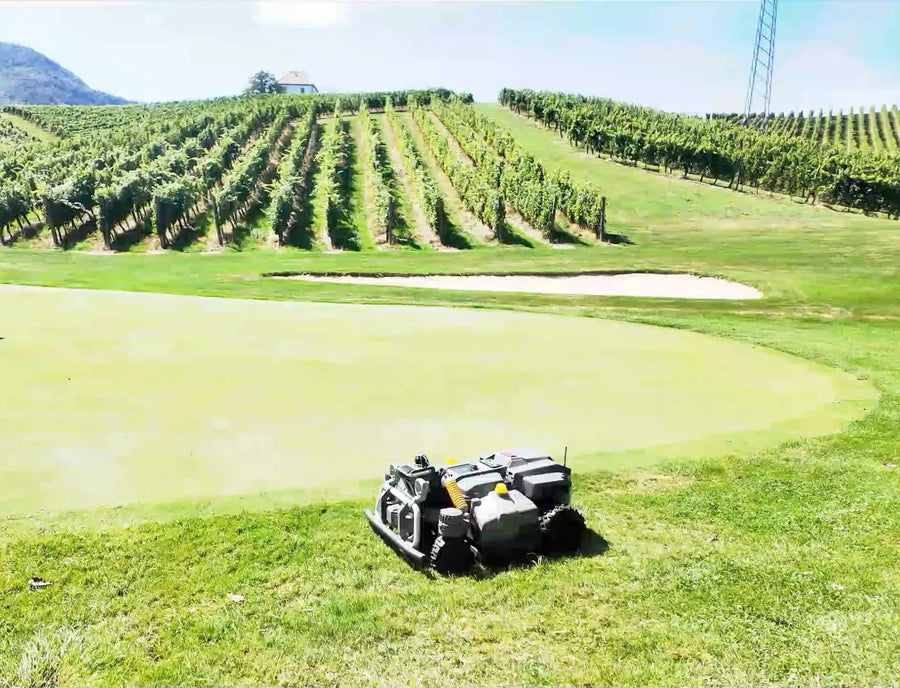 Maston sur un green du Golf Zlati Grič avec des vignobles en arrière-plan